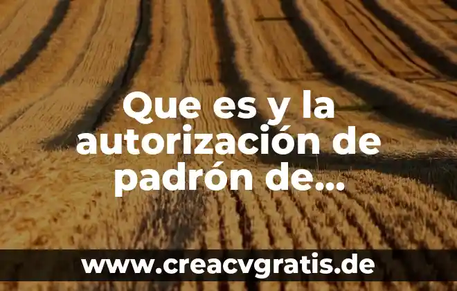 Qué es el número de autorización fiscal 3 Que es y la autorización de padrón de importadores