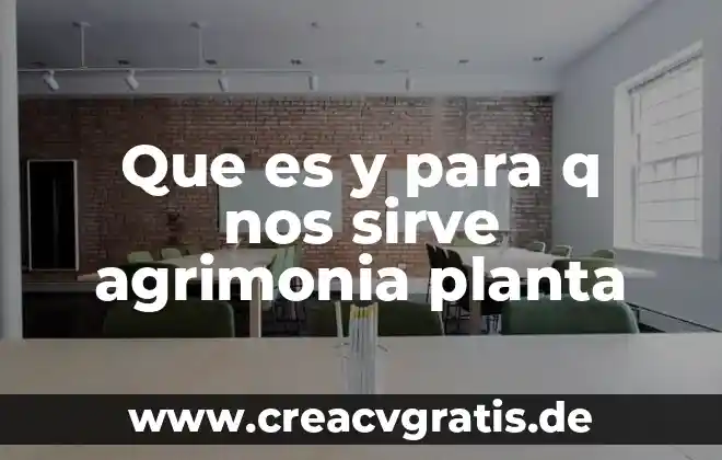 Que es la contaminacion del agua y como nos afecta 7 Que es y para q nos sirve agrimonia planta