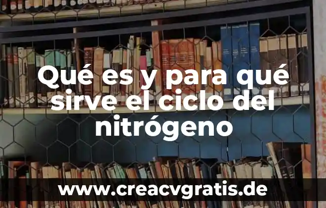 Que es el ciclo del nitrogeno y su importancia 3 Qué es y para qué sirve el ciclo del nitrógeno