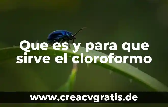 Que es la fonapo y para que sirve 3 Que es y para que sirve el cloroformo