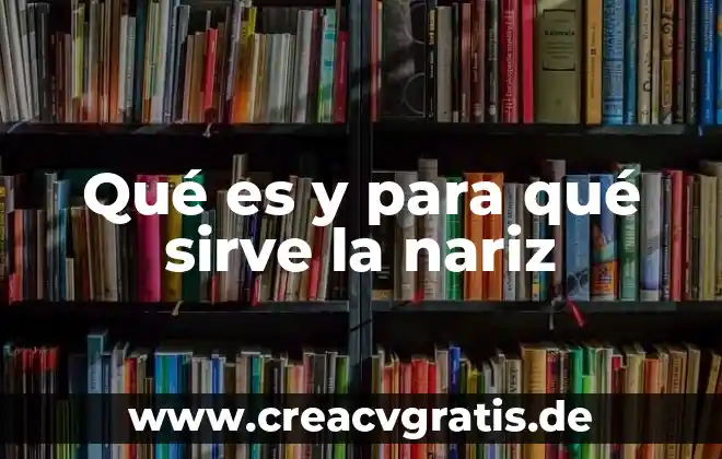 Nariz significado etimológico y que es 6 Qué es y para qué sirve la nariz
