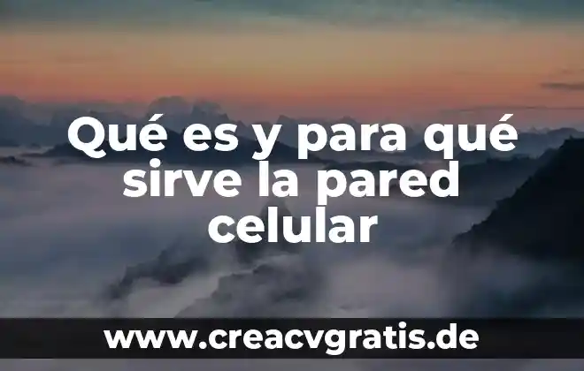 Qué es dominio y para qué sirve 8 Qué es y para qué sirve la pared celular