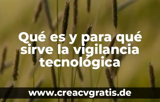 Que es la dependencia tecnologica significado 6 Qu茅 es y para qu茅 sirve la vigilancia tecnol贸gica