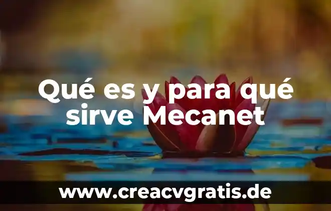 Tipos de erupciones en la piel que es 7 Qué es y para qué sirve Mecanet
