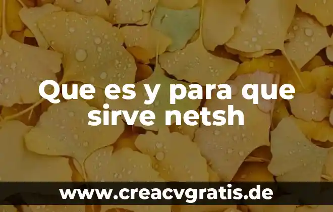 Qué es el deterioro de banda en redes 7 Que es y para que sirve netsh