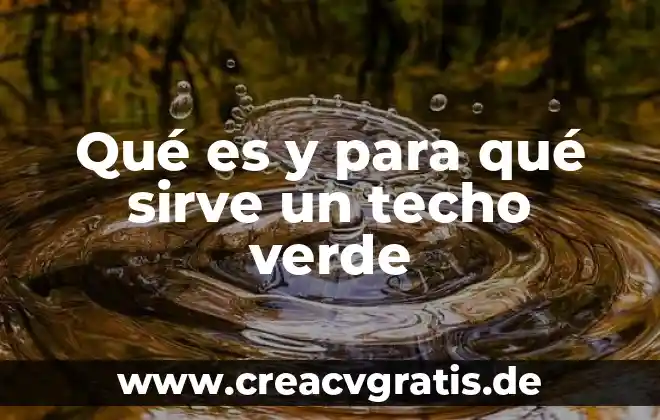Qué es la ldh sangre función 5 Qué es y para qué sirve un techo verde