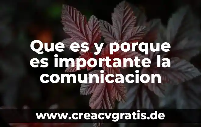 Por que es importante el principio precautor 6 Que es y porque es importante la comunicacion