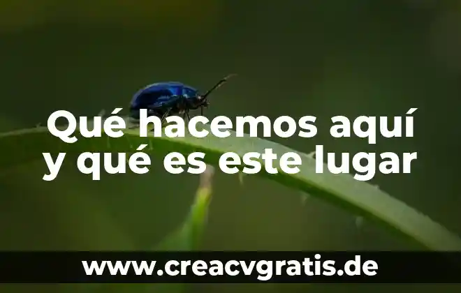 Que es un lugar geometrico y cuantos tipos se trabajan 5 Qué hacemos aquí y qué es este lugar