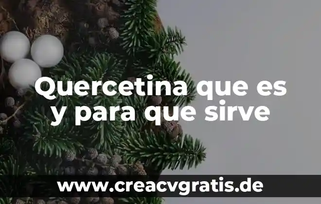 Qué es estadística para qué sirve y tipos de estadística 3 Quercetina que es y para que sirve