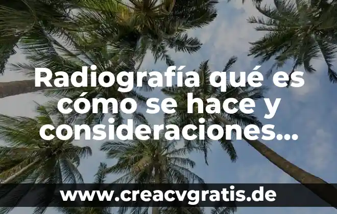 Qué es la muerte según autores importantes 8 Radiografía qué es cómo se hace y consideraciones importantes