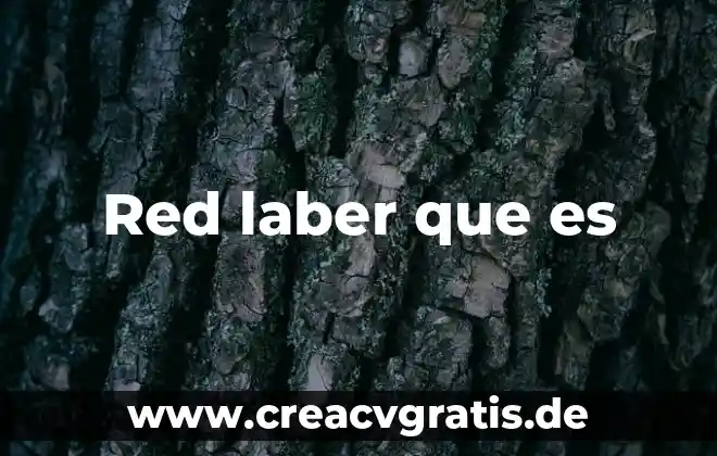 Que es un jack conector de red 6 Red laber que es