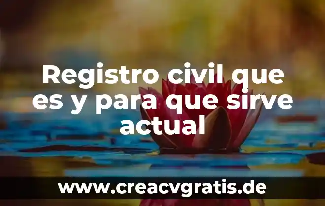 Qué es dominio y para qué sirve 4 Registro civil que es y para que sirve actual