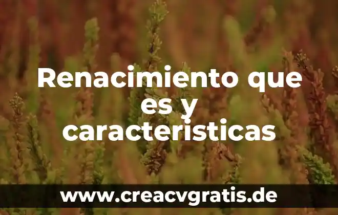Que es la polemica concepto y caracteristicas 3 Renacimiento que es y caracteristicas