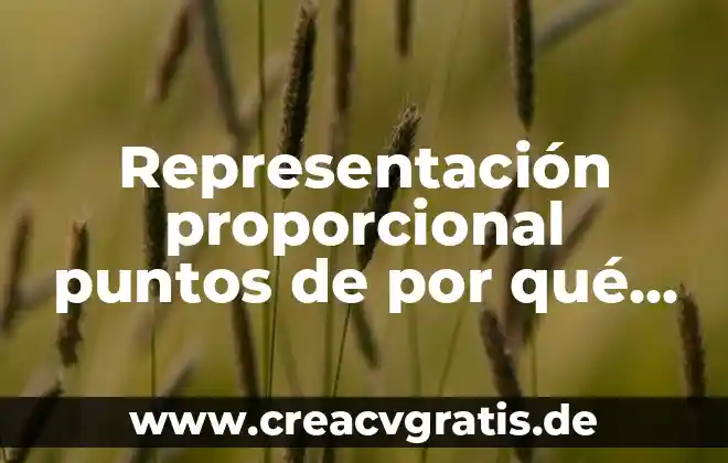 Qué es un control proporcional 7 Representación proporcional puntos de por qué es mejor