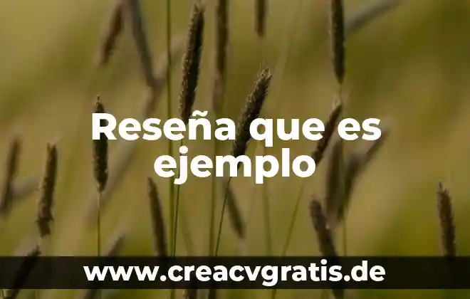 Qué es reseña y características 4 Reseña que es ejemplo