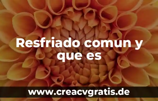 Es más mala la gripe que el resfriado 3 Resfriado comun y que es