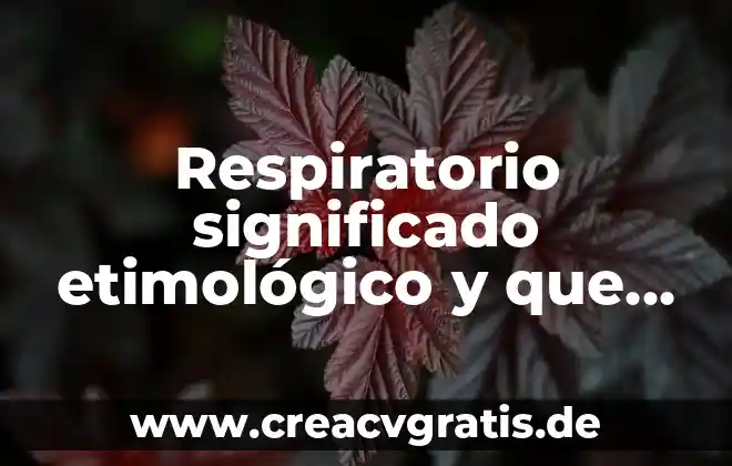 Qué es EDT en gestión de proyectos 4 Respiratorio significado etimológico y que es
