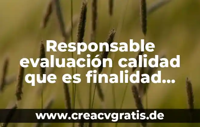 Qué es el unicef y sus funciones 8 Responsable evaluación calidad que es finalidad funciones