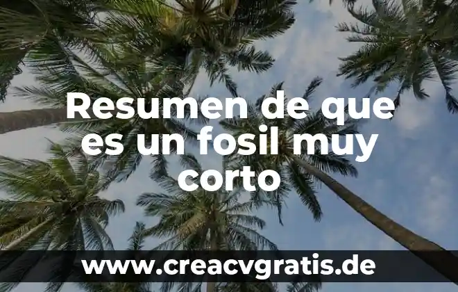 Resumen de la iso 19011 que es 8 Resumen de que es un fosil muy corto