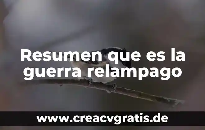 Que es la guerra que tipos existen en el mundo 5 Resumen que es la guerra relampago