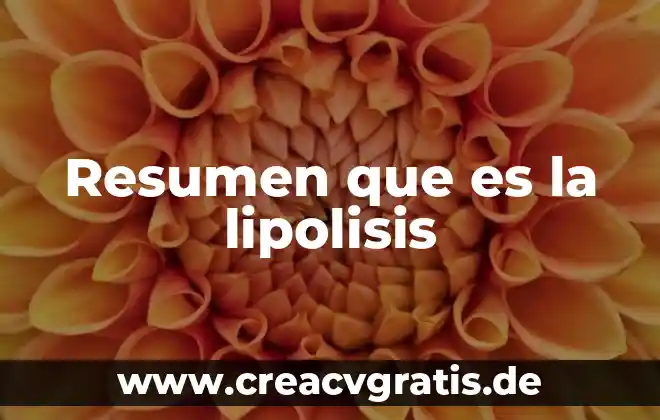 Que es un animal bite 7 Resumen que es la lipolisis