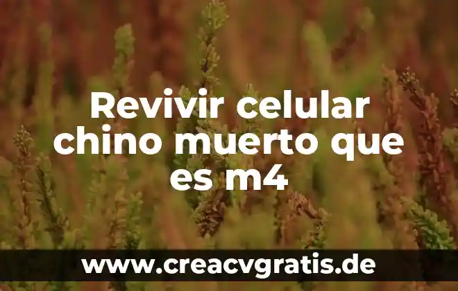 Samsung galaxy note como me doy cuenta que es chino 4 Revivir celular chino muerto que es m4