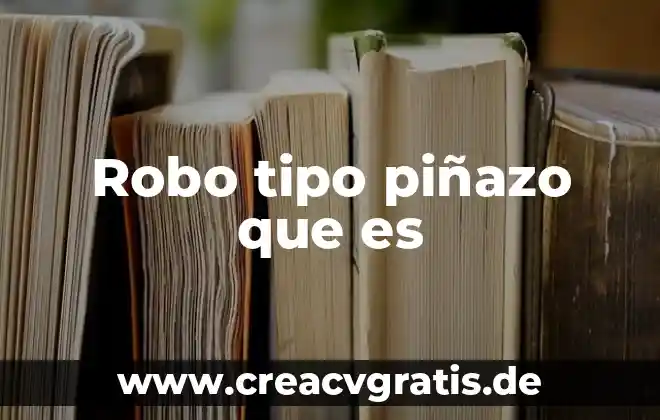 Que es tipo de experiencia 7 Robo tipo piñazo que es