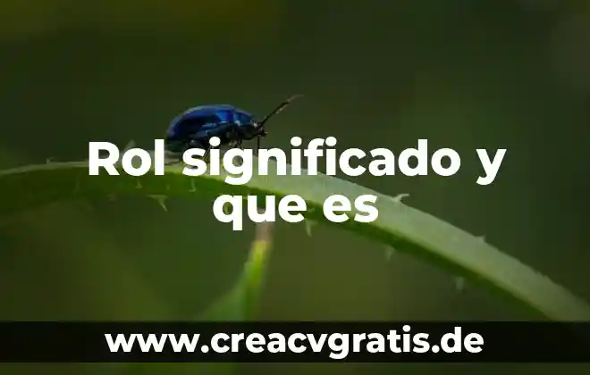 Qué es un hospicio significado 4 Rol significado y que es