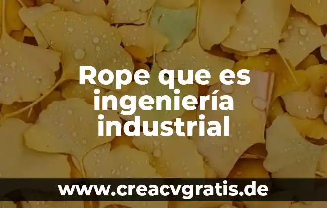 Ingenieria en planta electrica que es 5 Rope que es ingeniería industrial