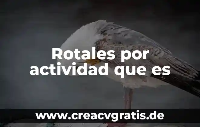 Que es actividad basica de un servicio social 3 Rotales por actividad que es