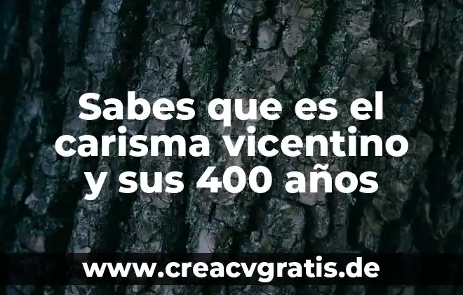 Que es el plan dn 400 del ejercito mexicano 3 Sabes que es el carisma vicentino y sus 400 años