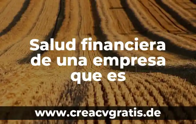 Que es salud tipos 6 Salud financiera de una empresa que es