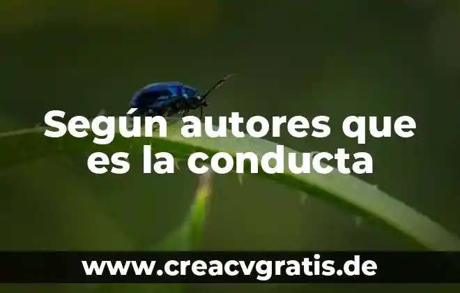 Que es una conducta segura 3 Según autores que es la conducta