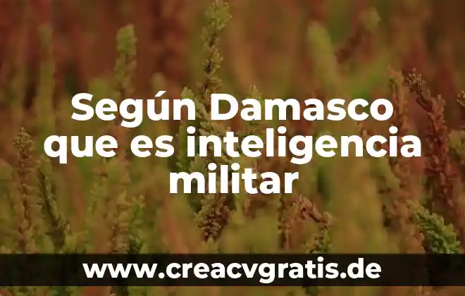 Que es el servicio militar en corea del sur 7 Según Damasco que es inteligencia militar