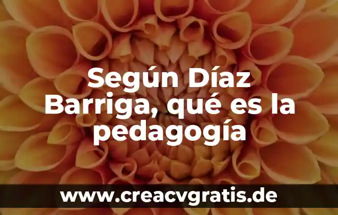Que es una secuencia didactica segun angel diaz barriga 3 Según Díaz Barriga, qué es la pedagogía