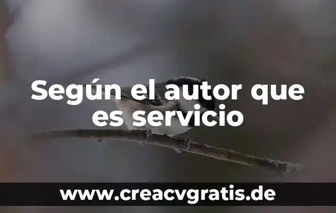 Alias del servicio que es 3 Según el autor que es servicio