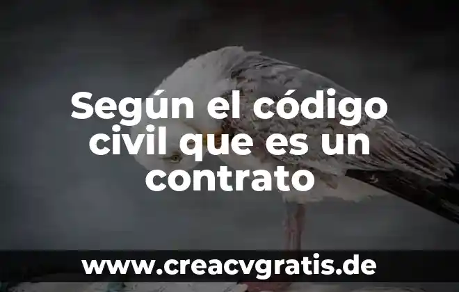 Que es un contrato codigo de etica usos y costumbres 8 Según el código civil que es un contrato