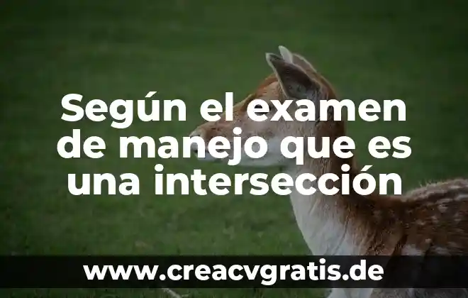 Que es un auditado segun iso 6 Según el examen de manejo que es una intersección