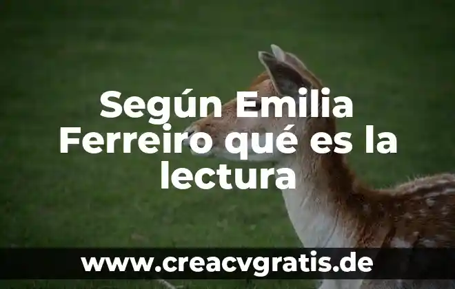 Que es lectura y sus tipos 8 Seg煤n Emilia Ferreiro qu茅 es la lectura