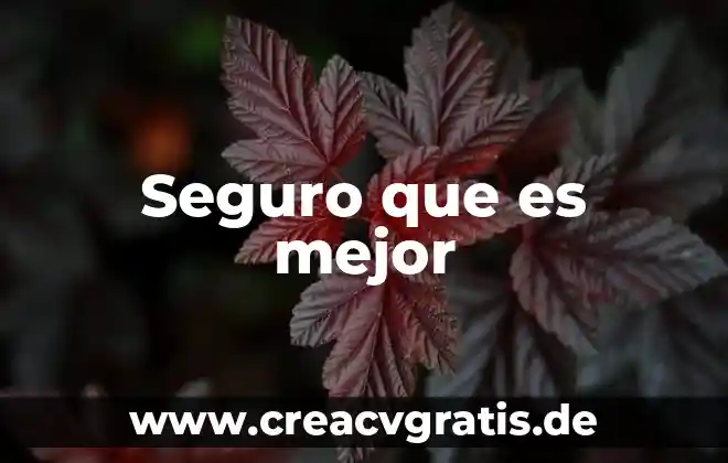 Número de seguro social último número que es 4 Seguro que es mejor