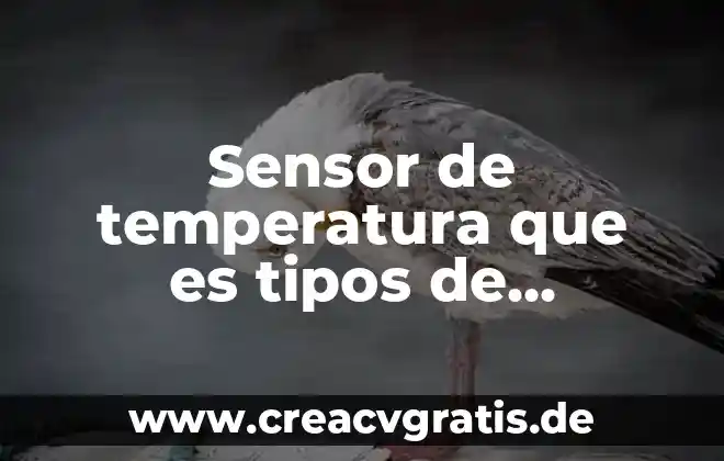 Qué es y cómo se usa el registro de temperatura 5 Sensor de temperatura que es tipos de sensores