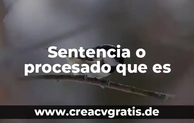 Zavala que es 4 Sentencia o procesado que es