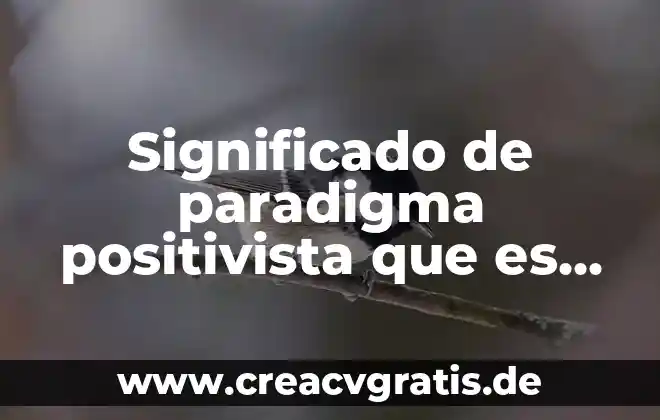Que es concepto de estudio 3 Significado de paradigma positivista que es concepto y definicion