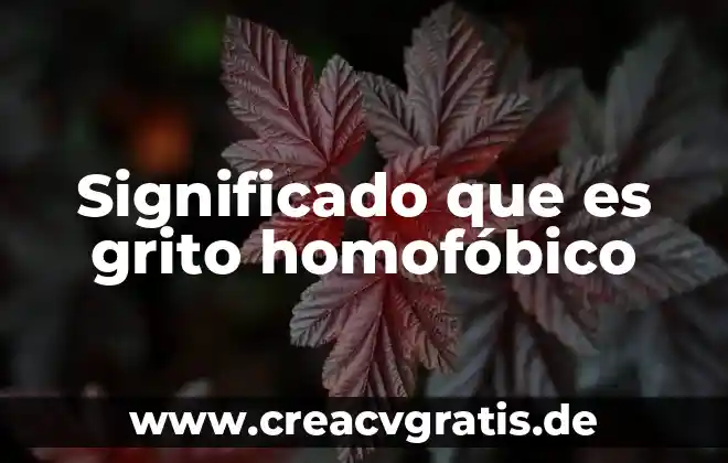 Que es ristre significado 8 Significado que es grito homofóbico