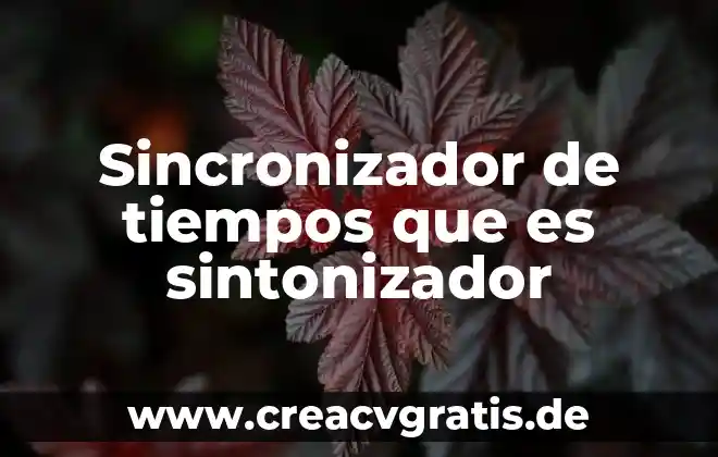 Que es un colirio en tiempos de jesus 3 Sincronizador de tiempos que es sintonizador