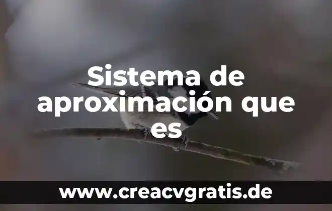 Qué es el embarazo saludable según la OMS 5 Sistema de aproximación que es