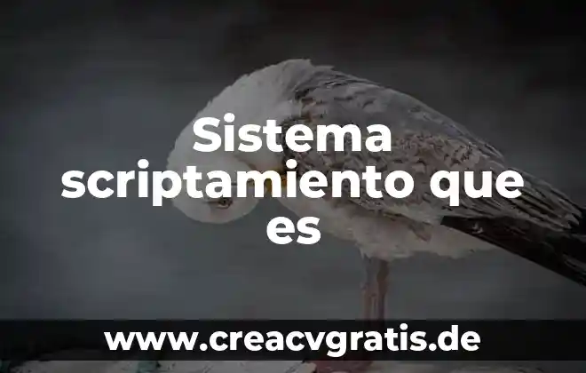 Que es el sim sistema de informacion de mercado 4 Sistema scriptamiento que es