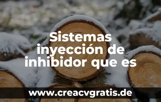 Qué es un mapa de inyección 6 Sistemas inyección de inhibidor que es