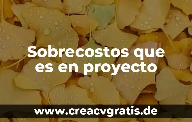 Que es proyecto y tipos de proyecto 8 Sobrecostos que es en proyecto