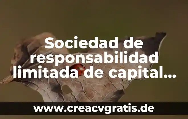 Que es limitada ejemplos 3 Sociedad de responsabilidad limitada de capital variable que es